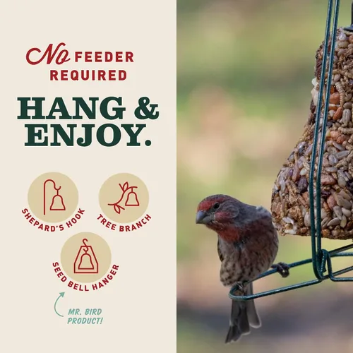 Vista 6 de Mr. Bird Campana de semillas de aves de frutas y nueces para todas las estaciones, paquete de 2, 14 libras