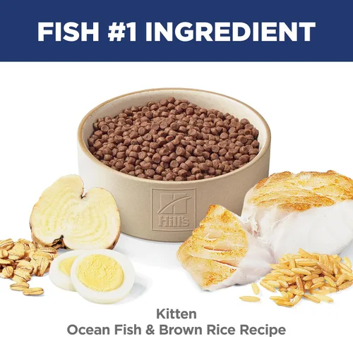 Vista 4 de Hill's Science Diet Comida seca para gatos gatitos, pescado marino y arroz integral, bolsa de 7 libras