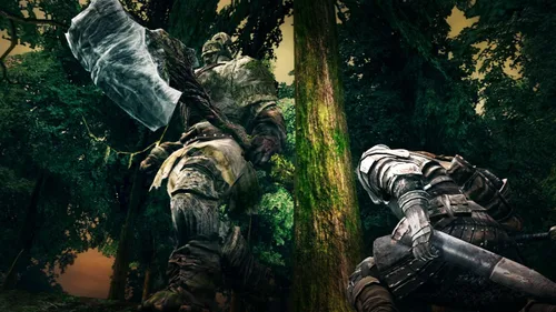 Vista 6 de Dark Souls with Artorias of the Abyss Edition