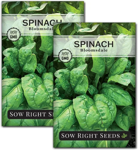 Vista 7 de Sow Right Seeds - Semillas de espinaca Bloomsdale para plantar - Ideal para jardines al aire libre o interior - Variedad de reliquia sin OMG