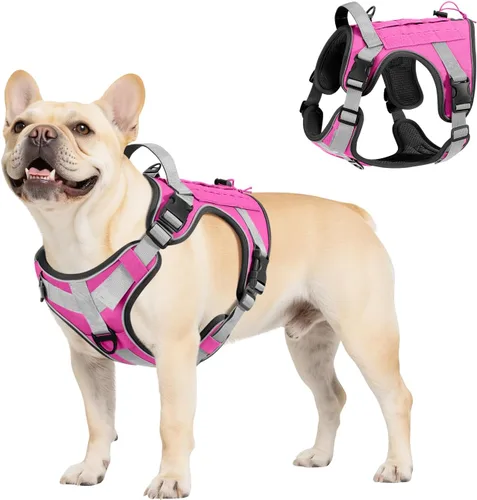Vista 44 de VavoPaw cinturón de seguridad para perro, arnés de coche con hebilla ajustable para perro, cinturón de seguridad de nailon para mascotas, resistente