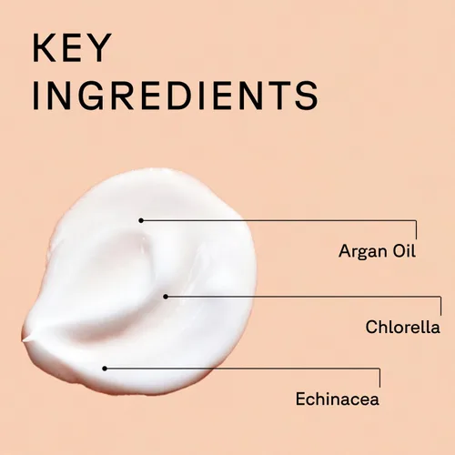 Vista 4 de Acure Crema de noche iluminadora – Crema facial de noche que aumenta el resplandor para mujeres y hombres, hidratante y revitalizante para un tono