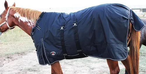 Vista 2 de 1200d atuendo impermeable para caballo rígido, manta de invierno pesada, Bellyband Negro