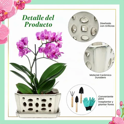 Vista 3 de Teenyyou 9.5" Orchid Pot Ceramic with Hole Saucer for Repotting, White Blanco