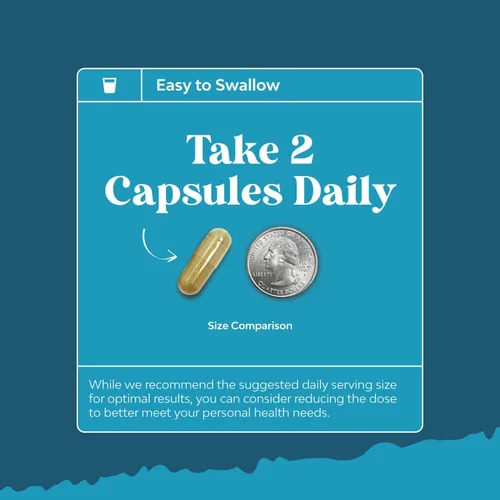 Vista 9 de Suplemento cerebral nootrópico para apoyo de memoria y enfoque, vitaminas para apoyo mental y claridad con Bacopa Monnieri, VIT A, B6, riboflavina