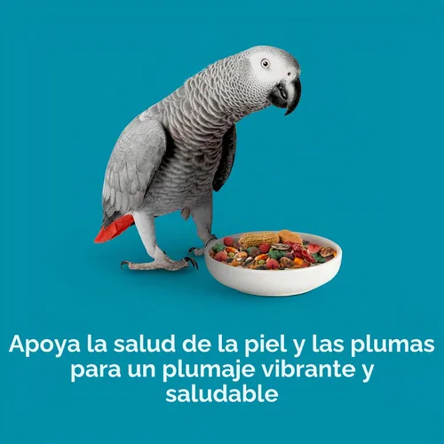 Vista 8 de Kaytee Forti-Diet Pro Health Feather Health - Comida para loros de 5 libras