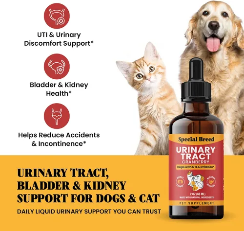 Vista 2 de Tratamiento de infección del tracto urinario para gatos y perros - Alivio natural de la infección urinaria con gotas de arándano - Soporte