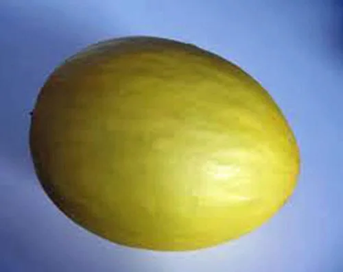 Vista 3 de Melón de rocío de miel, rocío de miel verde dulce, reliquia, más de 50 semillas, delicioso