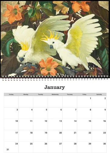 Vista 3 de Calendario de pared 2026 [13 páginas de 8 x 12 pulgadas] FANTASTIC BIRDS Vintage Modern Museum Art Retro Poster Peacock Flamingo Loro