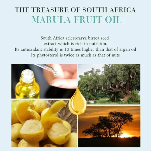 Vista 4 de OPPEAL Marula Oil - Jabón redondo para hotel, 0.5 onzas, tamaño de viaje a granel, envuelta individualmente, aroma ámbar gris, 120 barras por caja.