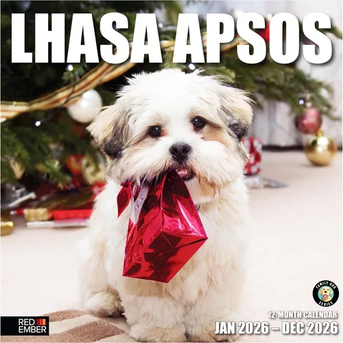Vista 64 de RED EMBER Calendario de pared 2025 con diseño de cachorros de 12 meses, 12 x 24 pulgadas, abierto, papel grueso y resistente, para regalo