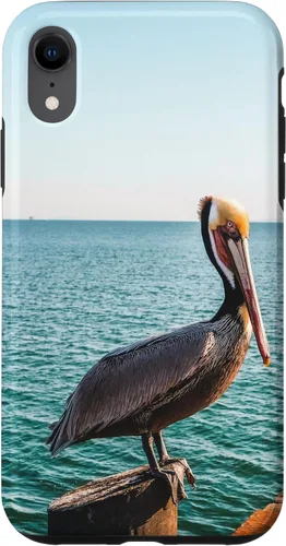 Vista 24 de iPhone 11 Pelican Case