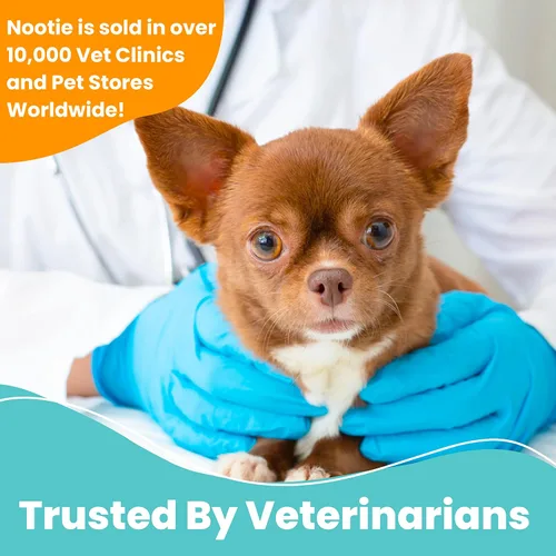 Vista 7 de Nootie - Toallitas medicadas para perros, toallitas para mascotas con clorhexidina y miconazol para perros y gatos - Toallitas pequeñas de 2", 60