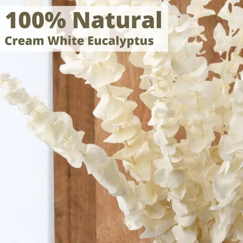 Vista 4 de 16 tallos de eucalipto conservados blanqueados, ramas de eucalipto conservadas de 16 pulgadas de color blanco crema natural, tallos de eucalipto