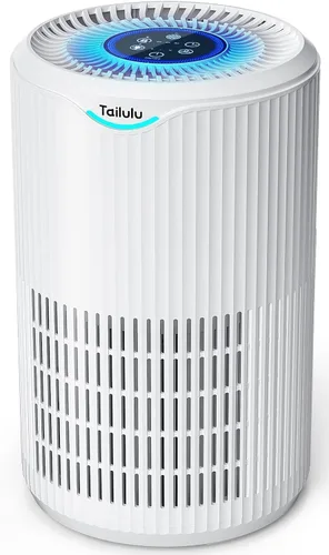 Vista 10 de Tailulu Filtro de Repuesto para Purificador de Aire para Limpiador de Aire D09, Filtro HEPA Verdadero H13 3 en 1, 1 Paquete