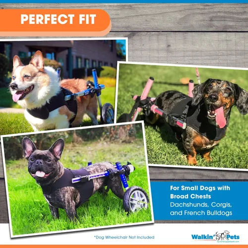 Vista 3 de Arnés delantero para perro Arnés sin tirones Diseñado para perros pequeños con pechos anchos Compatible con silla de ruedas para perros