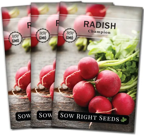 Vista 8 de Sow Right Seeds - Semilla de rábano Champion para plantar - Paquete de reliquia sin OMG con instrucciones para plantar un huerto casero - Cultiva