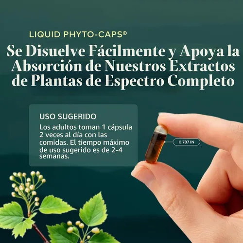 Vista 6 de 120 Fitocápsulas líquidas de aceite de orégano Gaia Herbs, GH-99625, 1, 1