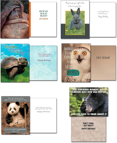 Vista 9 de Leanin' Tree Wildly Funny - Made In USA - 20 Tarjetas Surtidas con Sobres para Todas las Ocasiones, Tarjetas de Cumpleaños Suficientemente