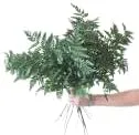 Vista 7 de Seda artificial de cuero de 18 pulgadas, hojas de helecho, vegetación floristería, calidad floristería, 7 hojas por tallo, 3 racimos en total 252