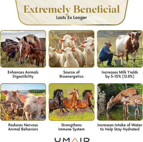 Vista 7 de UMAID Sal del Himalaya para lamer 6 libras en cuerda para animales de caballo, ciervo, cabra y ganado, bloque de sal del Himalaya, 1 paquete