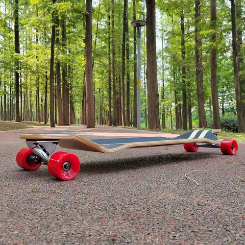 Vista 4 de Longboard completo de 41 pulgadas