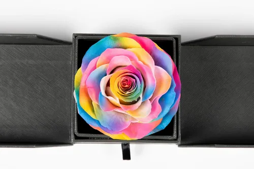 Vista 6 de Caja de regalo joyería de flores preservadas hechas a mano, diseño de rosas nunca marchitas, flores inmortales de lujo, flores eternas para seres