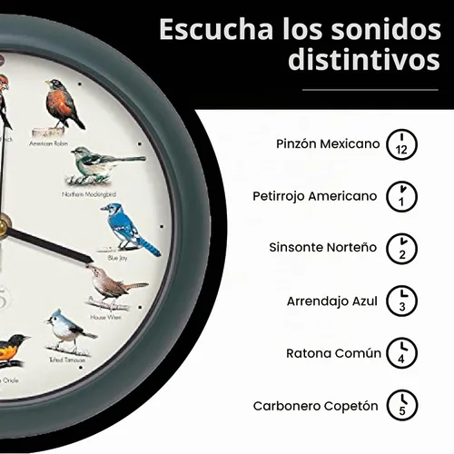 Vista 5 de Mark Feldstein, The Original Singing Bird Clock, edición del 25 aniversario, 8 pulgadas, verde