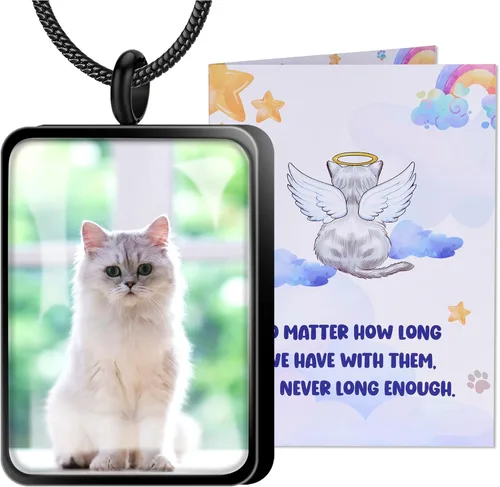 Vista 10 de Fanery Sue Collar para cenizas de mascotas, joyería de cremación, imagen personalizada y cita, regalos conmemorativos por pérdida de perro/gato