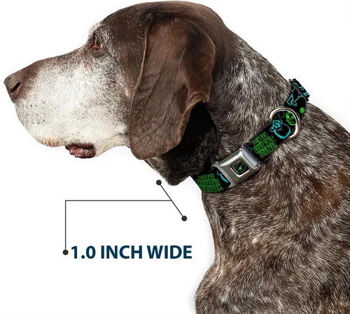 Vista 6 de Buckle-Down Monsters Inc. Sully & Mike Poses/GRRRRR! - Collar de perro con hebilla para cinturón de seguridad, negro, turquesa, verde, 1 pulgada