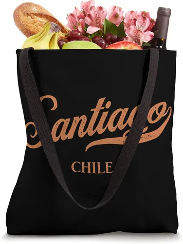 Vista 4 de Retro Chile City - Bolso de mano vintage Santiago