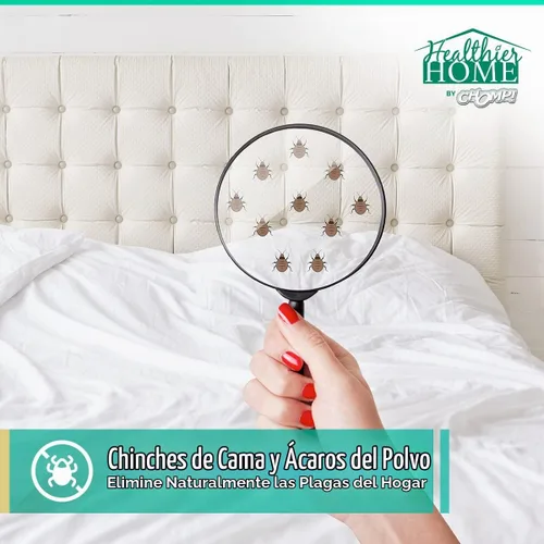 Vista 2 de CHOMP! Spray para control de insectos y plagas, 24 onzas, uso en interiores y exteriores, hormigas de fórmula a base de plantas, chinches, arañas