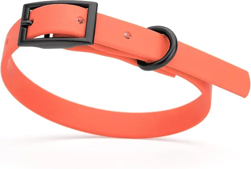Vista 93 de Dogline Biothane - Collar impermeable para perro con hebilla de liberación rápida, resistente cincha de nailon recubierta con resistente y a prueba