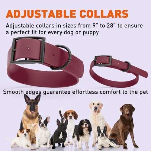 Vista 226 de Dogline Biothane - Collar impermeable para perro con hebilla de liberación rápida, resistente cincha de nailon recubierta con resistente y a prueba