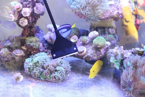 Vista 4 de Cepillo limpiador de algas para acuario con 10 cuchillas de acero inoxidable para peces, arrecife, plantas, tanque de vidrio, 26 pulgadas