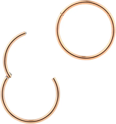 Vista 12 de 2pcs Titanium Hinged Hoops Segment Septum Nose Rings Sleeper Earrings Negro