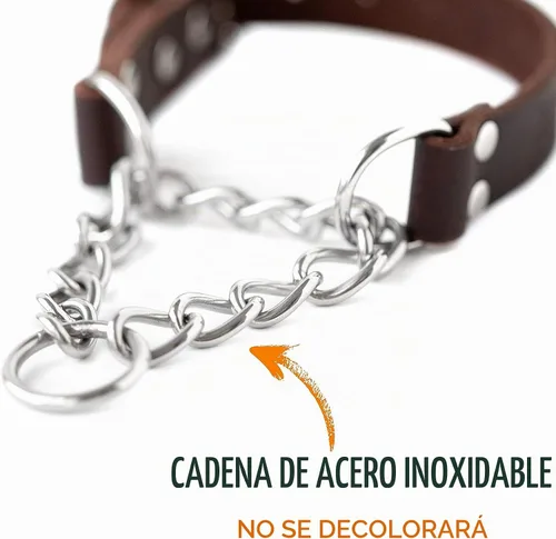 Vista 3 de Collar Martingala para Perros Mighty Paw - Diseño Anti-Tirón - Cadena de Acero Inoxidable - Entrenamiento Limitado con Correa de Cincha - Collar