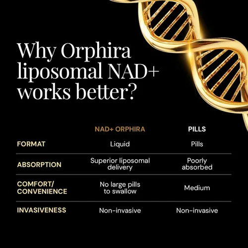 Vista 7 de Orphira - Suplemento liposomal líquido NAD+ - 10 veces mejor absorción para energía celular, claridad mental, envejecimiento saludable y apoyo