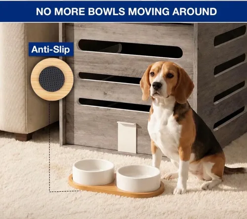 Vista 3 de Juego de 2 platos de cerámica para perros y gatos pequeños con bandeja