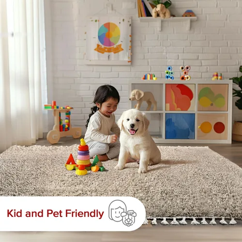 Vista 6 de NULOOM Neva Alfombra de Área Shag Moderna con Borlas, 8' Cuadrada, Beige Neva Beige