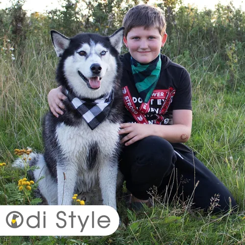 Vista 4 de Bandana para perro, suave, transpirable y llamativa bandana para perro, pañuelos, bufandas, baberos, accesorios para perros pequeños, medianos