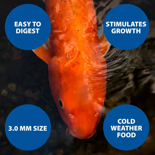 Vista 7 de The Pond Guy Spring & Fall - Alimento para peces con germen de trigo para Koi y Goldfish, pellets flotantes prémium para clima frío, fórmula