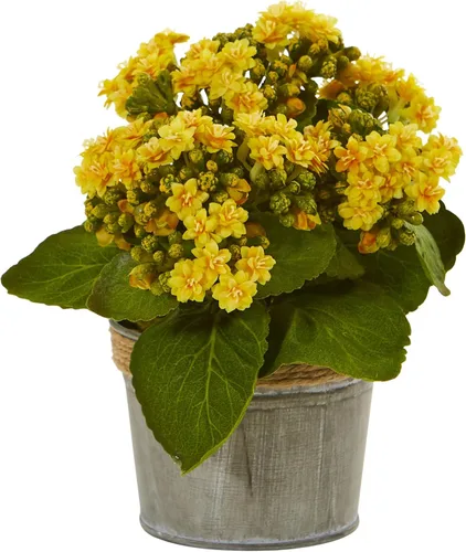 Vista 2 de Nearly Natural Arreglos artificiales Kalanchoe (juego de 3)