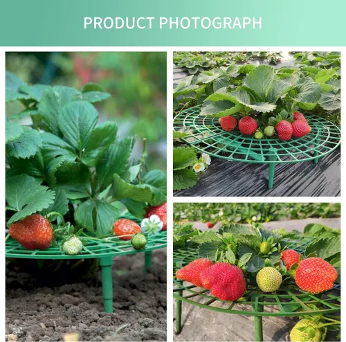Vista 4 de SooGree Paquete de 5 soportes de fresa, soportes de fresa para jardín, jaula de plantas de frutas, bandeja de plástico para mantener las fresas