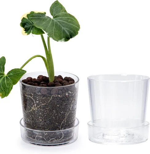 Vista 12 de Maceta Phoenix Vine de 3.5 pulgadas de acrílico transparente con bandeja, maceta para orquídeas con agujeros de drenaje, platillo profundo