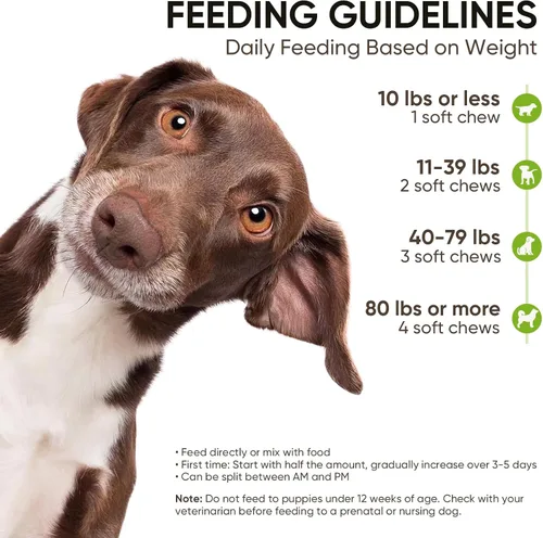 Vista 5 de Probióticos para perros Salud digestiva intestinal Probióticos masticables