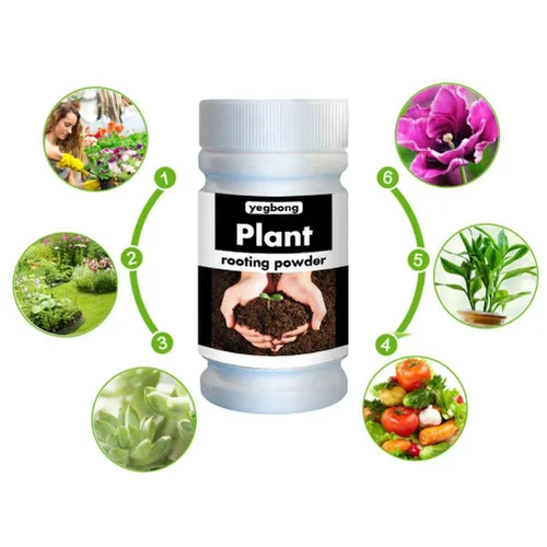 Vista 7 de Polvo de raíz, polvo de enraizamiento para esquejes, hormona de raíz, estimulador de raíces, fertilizante y mejorador de suelo, cultiva nuevas