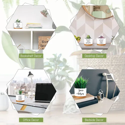 Vista 5 de Yaomiao 20 piezas de regalo de la semana de CNA, regalos de agradecimiento a los empleados, regalos de plantas suculentas a granel para mujeres