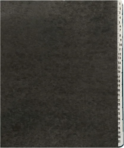 Vista 3 de Amazon Basics Clasificador de archivos de escritorio expandible, organizador de papel diario y mensual, tamaño carta, negro