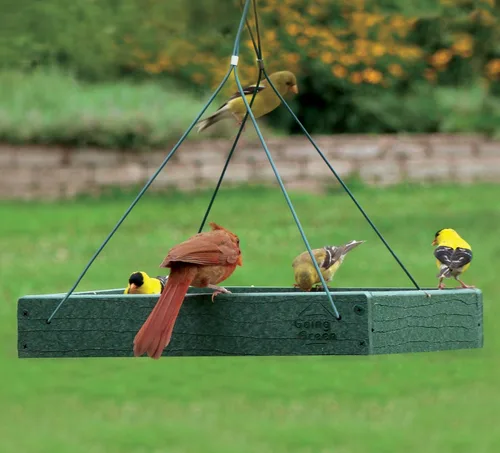 Vista 2 de Woodlink Comedero para pájaros con plataforma verde modelo GGPLAT